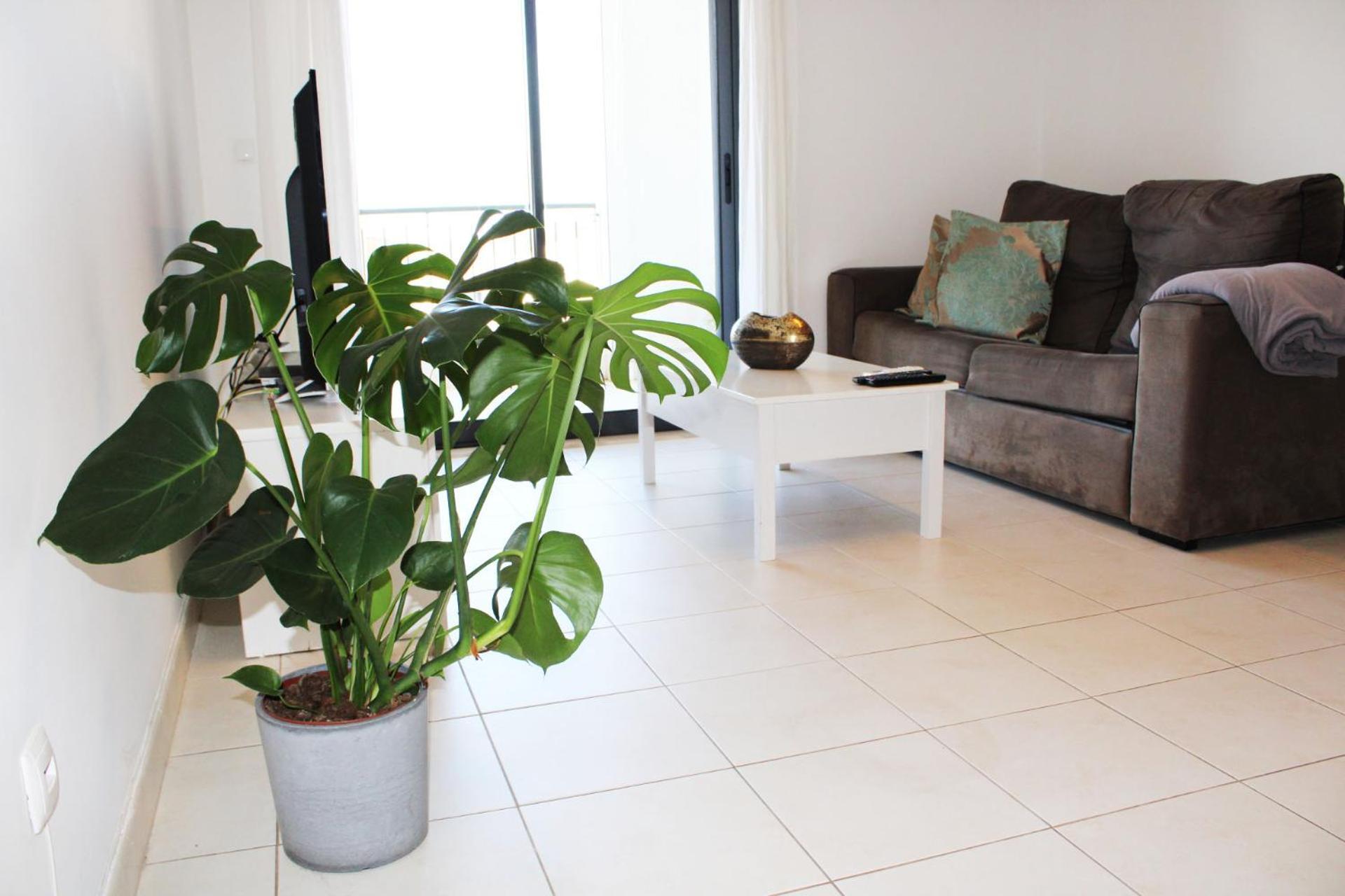 Apartment With Terrace Albufeira Olhos De Agua מראה חיצוני תמונה